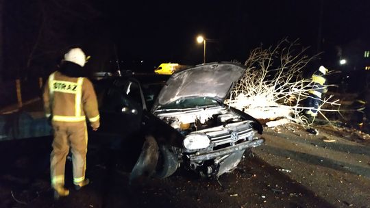 Lipinki. Volkswagen wjechał w powalone drzewo.[ZDJĘCIA]