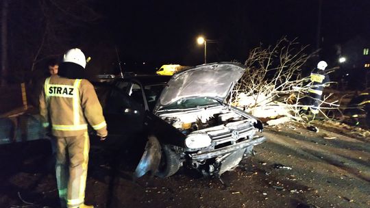 Lipinki. Volkswagen wjechał w powalone drzewo.[ZDJĘCIA]