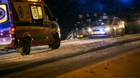 Dominikowice. Samochód wpadł do rowu. Jedna osoba poszkodowana. [ZDJĘCIA]