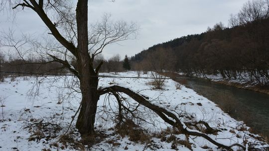 Sprzątanie Parku Miejskiego po ostatnich opadach śniegu (26 stycznia 2023)