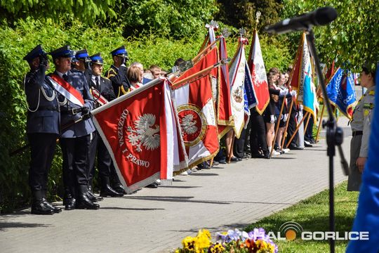 gorlice sklarczykówka