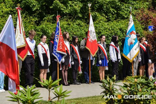 gorlice sklarczykówka