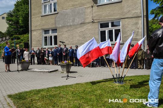 gorlice sklarczykówka