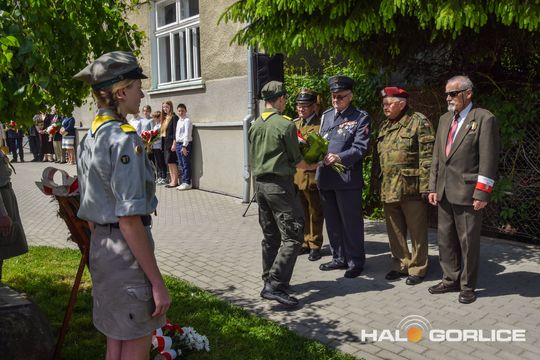 gorlice sklarczykówka