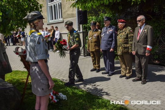 gorlice sklarczykówka