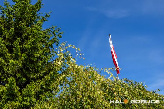 gorlice sklarczykówka