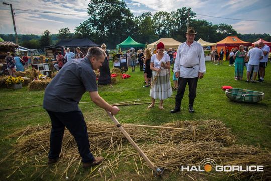 zdjęcia z dożynek gminnych w sękowej w roku 2024