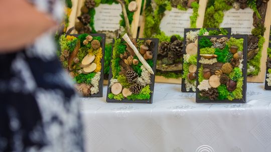 Dzień Rodziny w Dominikowicach (28 maja 2025)