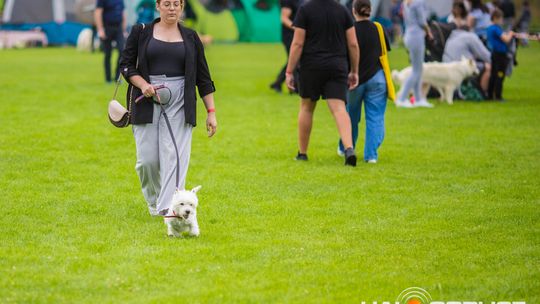 39. Wystawa Psów Rasowych w Gorlicach (2 sierpnia 2025)