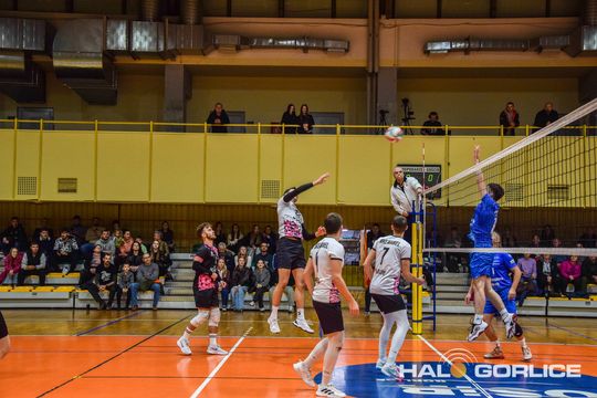 siatkarze podczas meczu