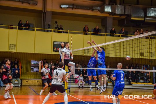 siatkarze podczas meczu