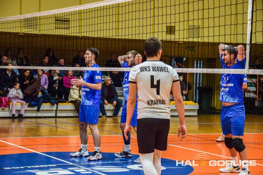 siatkarze podczas meczu