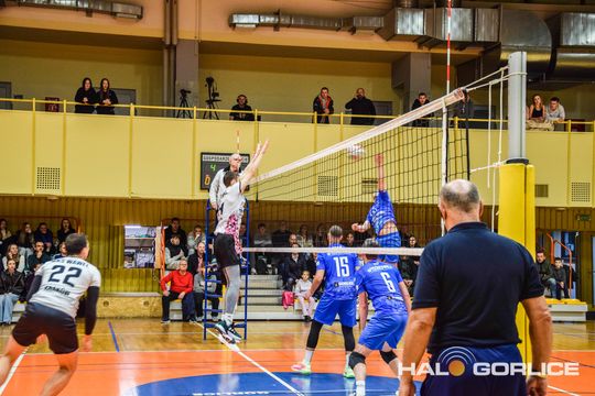 siatkarze podczas meczu