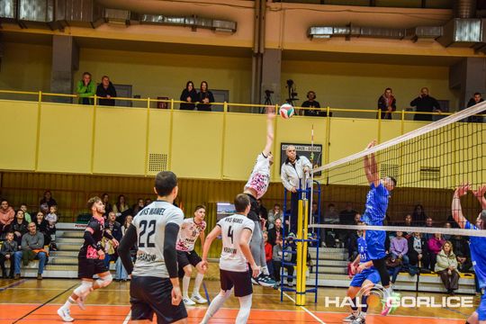 siatkarze podczas meczu