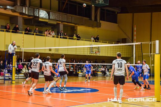 siatkarze podczas meczu