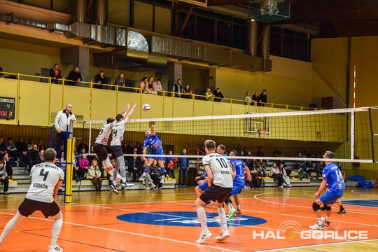 siatkarze podczas meczu