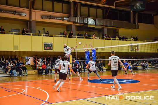 siatkarze podczas meczu