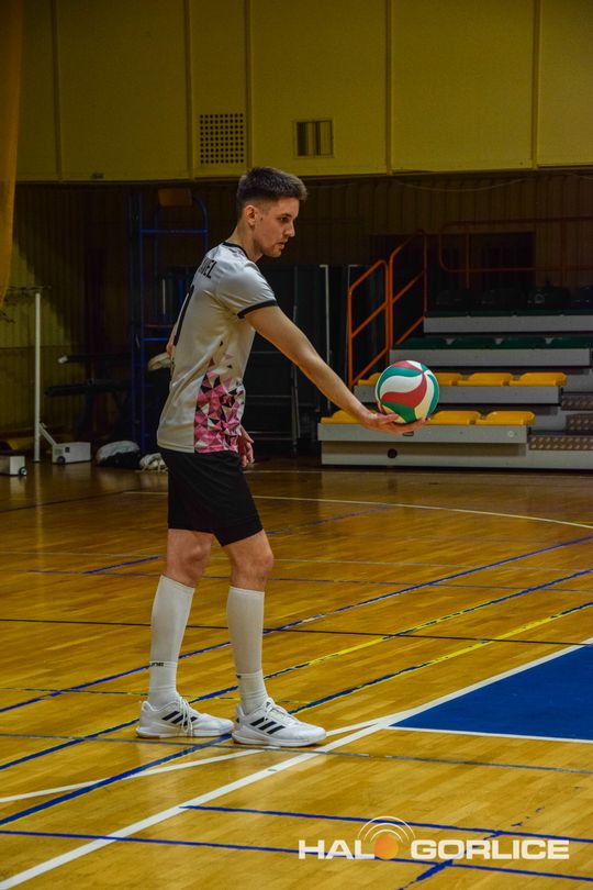 siatkarze podczas meczu