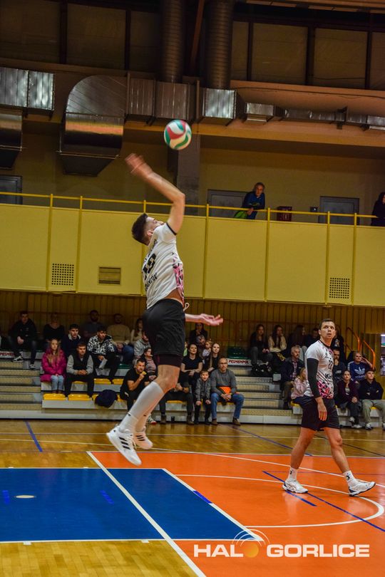 siatkarze podczas meczu