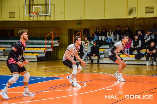 siatkarze podczas meczu