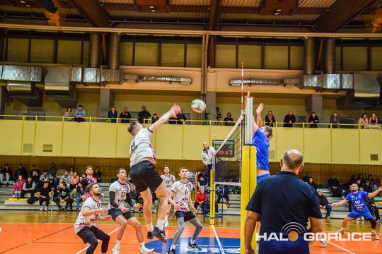 siatkarze podczas meczu