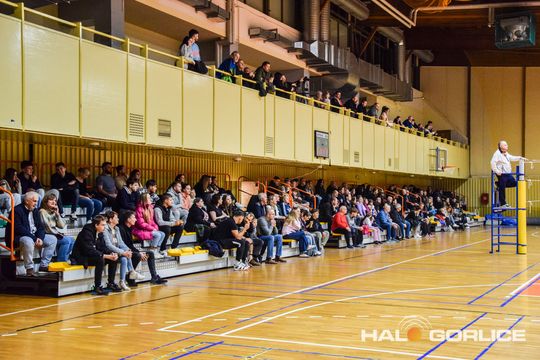 siatkarze podczas meczu