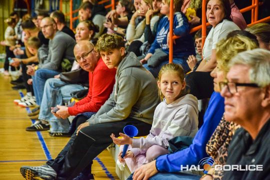 siatkarze podczas meczu