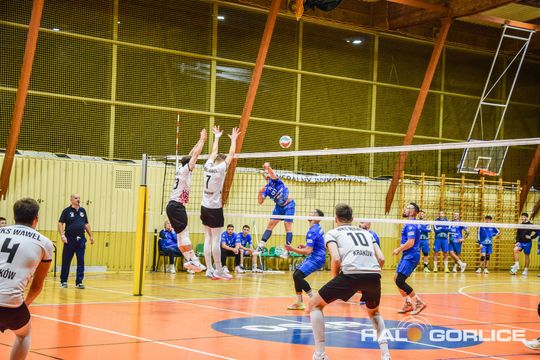siatkarze podczas meczu