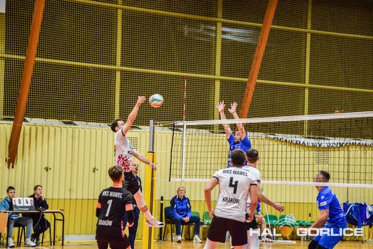 siatkarze podczas meczu