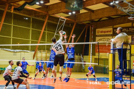 siatkarze podczas meczu