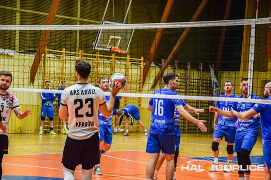 siatkarze podczas meczu