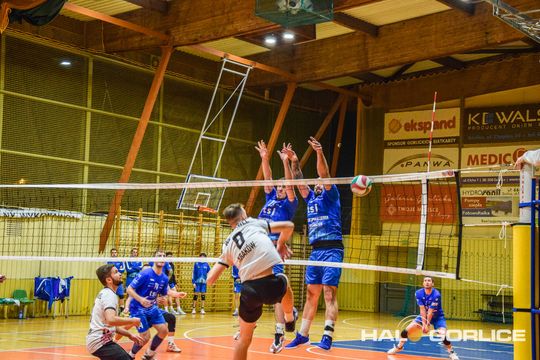 siatkarze podczas meczu