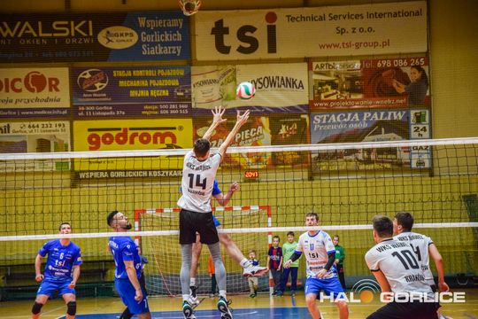 siatkarze podczas meczu