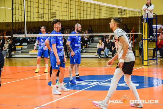 siatkarze podczas meczu