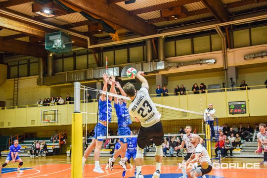 siatkarze podczas meczu