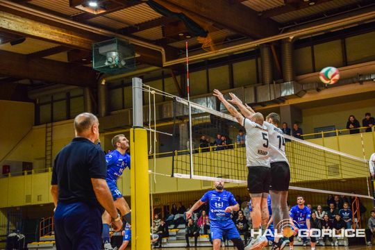 siatkarze podczas meczu