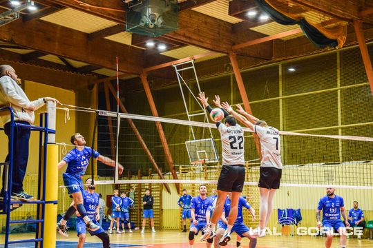 siatkarze podczas meczu