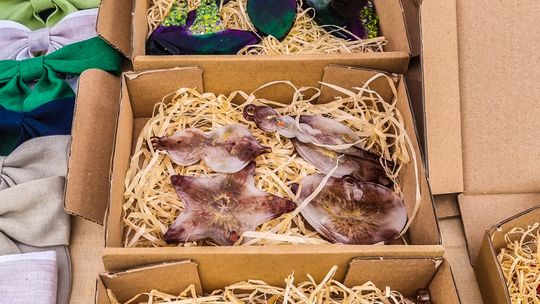 Targ Staroci w Siarach zdjęcia przedstawiają przedmioty targu staroci w Siarach