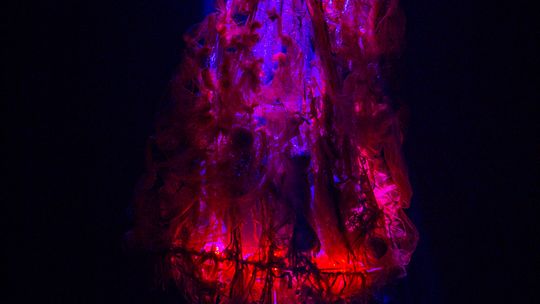 zdjęcie przedstawia dzieci na wózkach występujących na scenie GCK Gorlice