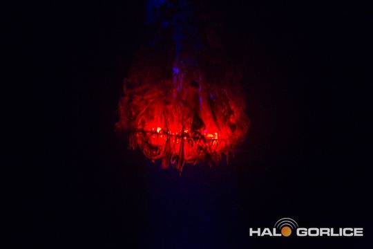 zdjęcie przedstawia dzieci na wózkach występujących na scenie GCK Gorlice