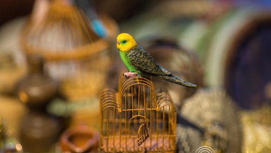 szopka neapolitańska Tomasza Tajaka