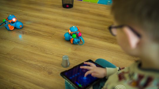 zdjęcie przedstawia klocki lego i roboty