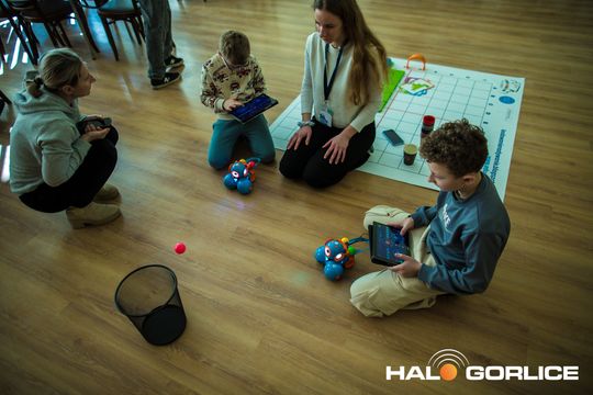 zdjęcie przedstawia klocki lego i roboty