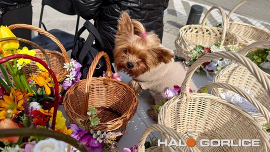 Wielkanoc na Maślanym Rynku 2026