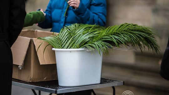 Niedziela Palmowa w gorlickich parafiach (29 marca 2026)