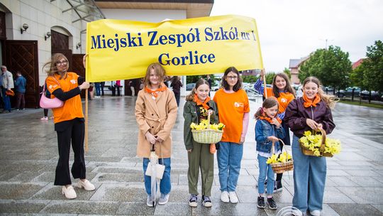 Marsz Żonkilowy w Gorlicach (31 maja 2026)