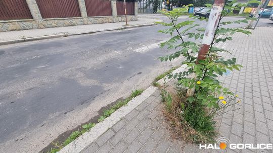 zdjęcie przedstawia jezdnię w mieście