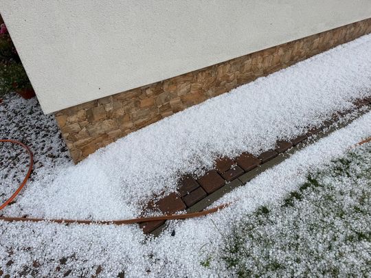 zdjęcie przedstawia kulki gradu i połamane kłosy zboża 