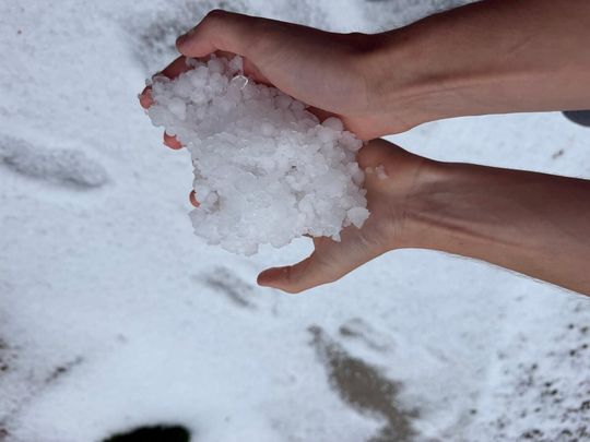 zdjęcie przedstawia kulki gradu i połamane kłosy zboża 
