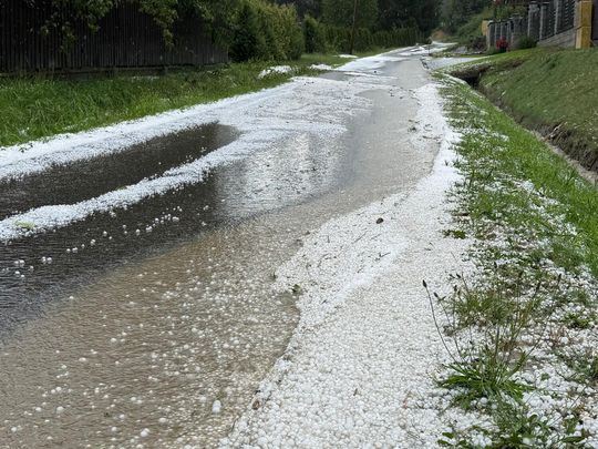 zdjęcie przedstawia kulki gradu i połamane kłosy zboża 